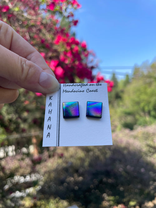 Post Earrings